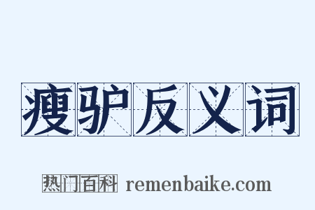 瘦驴反义词是什么意思的图片